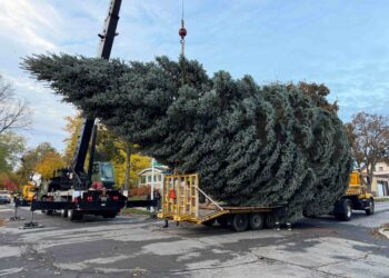 Milwaukee Christmas Tree 2025