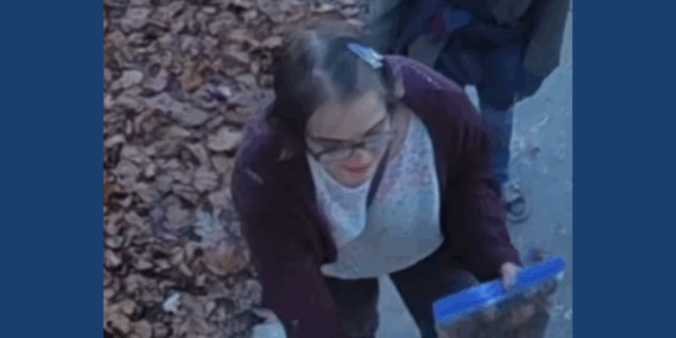 Morgan Geyser- Recent image of Geyser