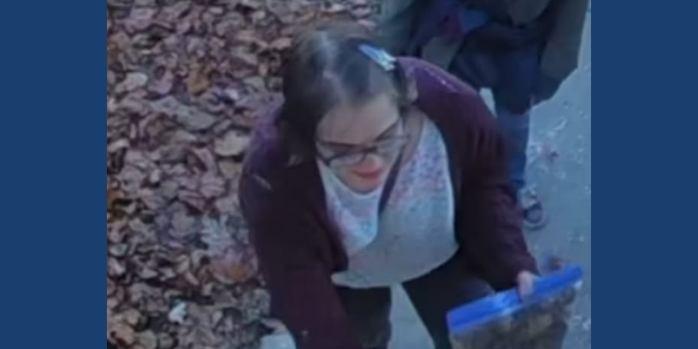 UPDATE: Morgan Geyser found in Illinois after escape from group home