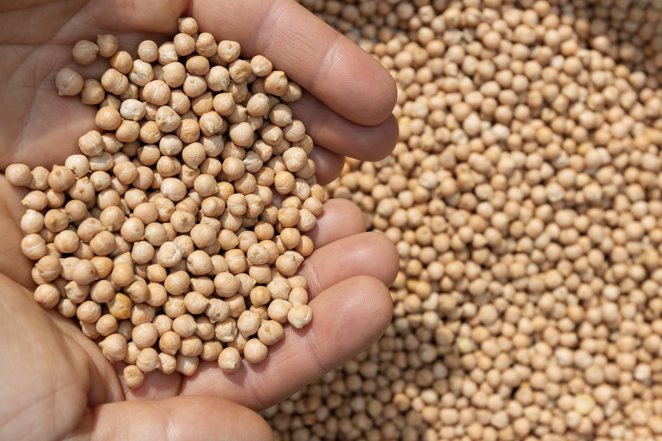 Wisconsin soybean farmers hope for more beyond proposed government payout