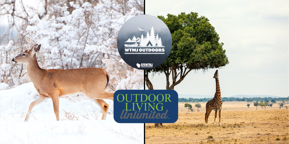 WTMJ Outdoors: Wisconsin Woods to African Plains 12-13-25