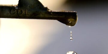 Learn How to Make Your Own Maple Syrup!