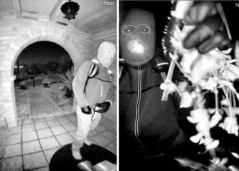 A person has been detained for questioning in the disappearance of Nancy Guthrie, AP sources say