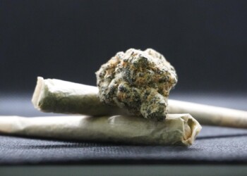 Wisconsin Democrats introduce legislation to legalize recreational and medical marijuana