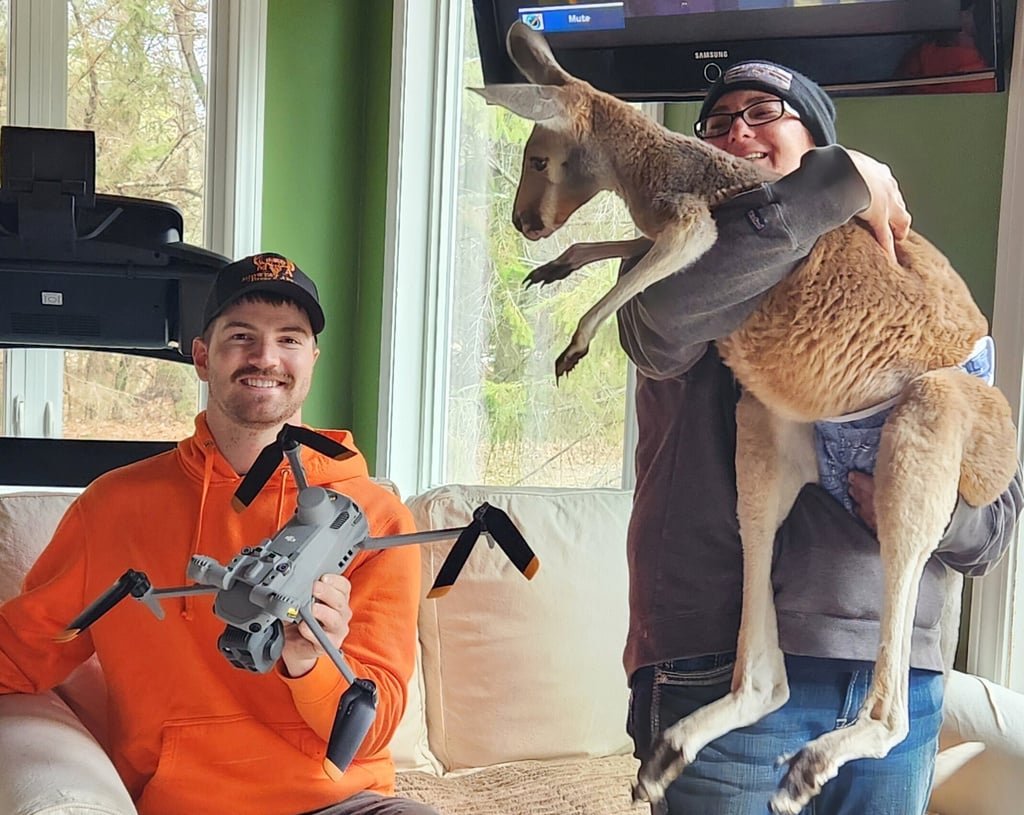 Chesney the kangaroo scales tall fence and flees Wisconsin petting zoo for three days on the lam