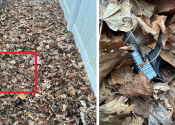 Stolen weapon hidden in leaves that was recovered by a K9 officer in West Bend. Images courtesy of the Hartford Police Department.