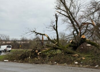 Storm damage in Sussex after a confirmed tornado touchdown on April 14, 2026.