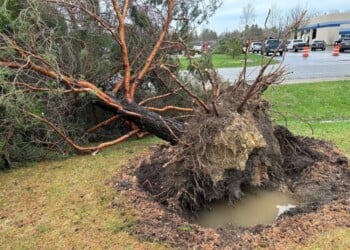 Confirmed EF2 tornado touched down in Lisbon