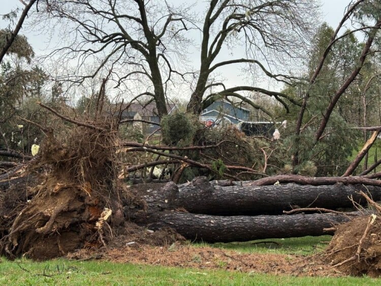Downed trees and storm damage in Sussex after severe storms rolled through on Tuesday, April 14, 2026. (Nazir Spencer/WTMJ)