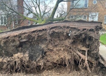 Storms ripped through parts of Southeast Wisconsin on Monday, April 14 causing tree damage and downed power lines.