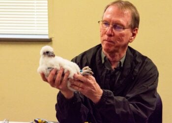 WTMJ Conversations: How Greg Septon is Saving Wisconsin’s Peregrine Falcons
