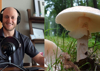 WTMJ Conversations: Toxicoligist Ryan Feldman uncovers mushroom mysteries