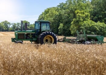June 7, 2024- Menokin, Virginia: A John Deere farm tractor harvests golden barley in a field. (Getty Images)