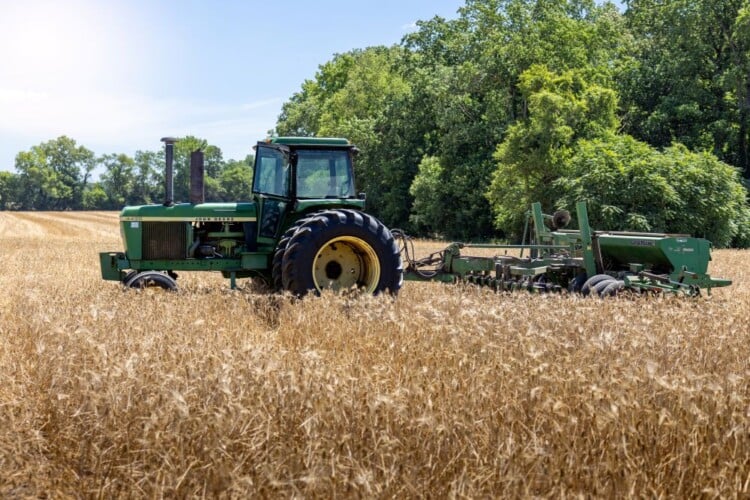 June 7, 2024- Menokin, Virginia: A John Deere farm tractor harvests golden barley in a field. (Getty Images)