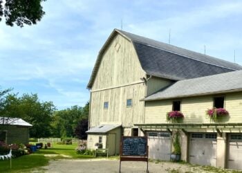 Free Range Art Show, Next Act Theatre’s Interview Project & Wisconsin State Fair Preview
