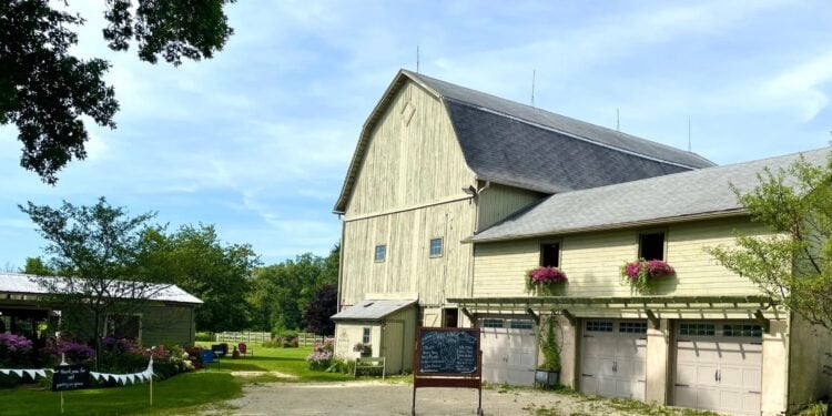 Free Range Art Show, Next Act Theatre’s Interview Project & Wisconsin State Fair Preview