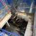 Sewer pipe clog could be linked to flooding events in Bay View