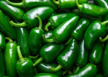 Jalapeno peppers. Image courtesy of CDC.