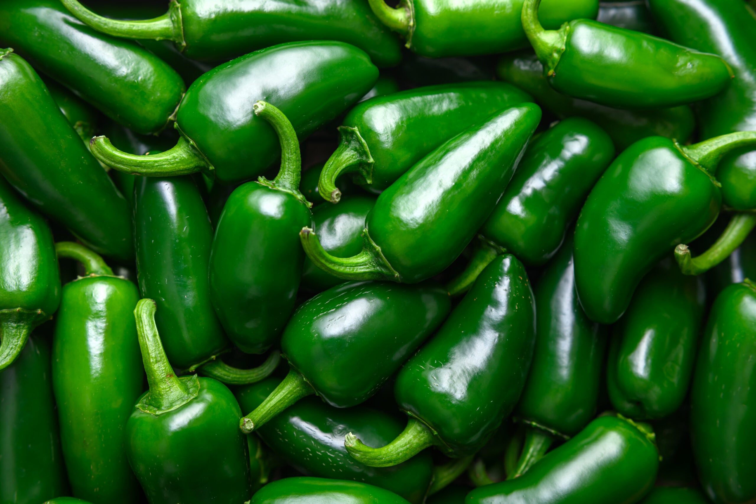 Salmonella outbreak linked to jalapenos sickens hundreds, some in Wisconsin
