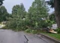 Tree damage was reported throughout the Milwaukee area after Tuesday night's storms. (Photo credit Alicia Harps/Facebook