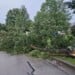 Tree damage was reported throughout the Milwaukee area after Tuesday night's storms. (Photo credit Alicia Harps/Facebook