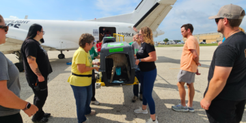 Volunteers unload pets at Milwaukee Airport, August 4, 2026