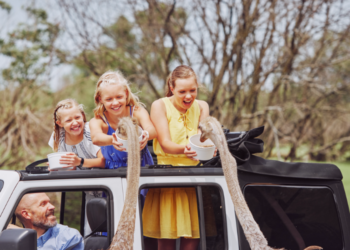 Family Feeds Ostrich's At Safari Lake Geneva (Photo: Travel Wisconsin)