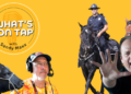 Wisconsin State Fair History, Horses, Music, & Must-See Weekend Picks
