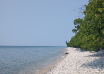 Washington Island