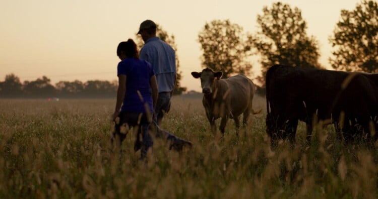 (Photo credit Wisconsin Beef Council/Facebook)