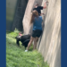 Social media video shows a child inside of the zoo enclosure
