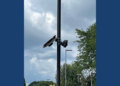 Sheboygan covers 15 Flock cameras as city moves to end contract