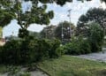 Tree damage was reported throughout the Milwaukee area after Tuesday night's storms. (Nazir Spencer/WTMJ)