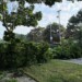 Tree damage was reported throughout the Milwaukee area after Tuesday night's storms. (Nazir Spencer/WTMJ)