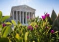 Trump Supreme Court Wins and Losses