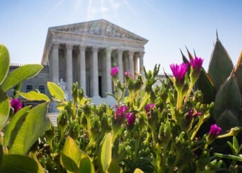 Trump Supreme Court Wins and Losses