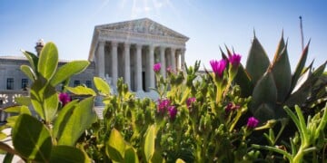Trump Supreme Court Wins and Losses