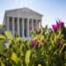 Trump Supreme Court Wins and Losses