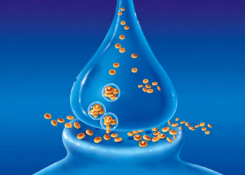 Pancake Breakfast Special: Dopamine Websites