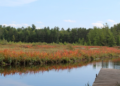 Chequamegon-Nicolet National Forest. Image courtesy of U.S. Forest Service.