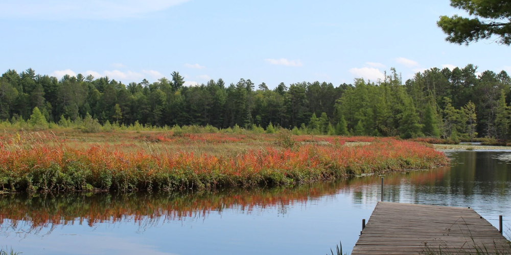 Two Wisconsin research stations on list of U.S. Forest Service closures