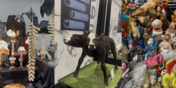 World Oddities Expo at the Baird Center.