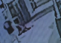 DOG ATTACK