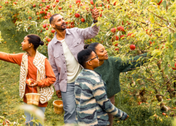 Family picks apples (Photo: Travel Wisconsin)