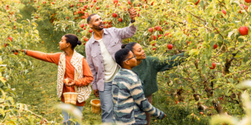 Family picks apples (Photo: Travel Wisconsin)