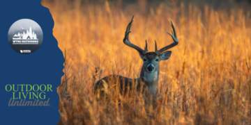 Whitetail herd health and hunting traditions