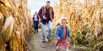 Family Has Fun In The Corn Maze At Country Bumpkin Farm Market In Wisconsin Dells (Photo: Travel Wisconsin)