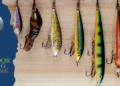 WTMJ Outdoors: Fall fishing, Milwaukee County Parks and deer mapping