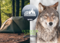 WTMJ Outdoors- Wisconsin Elk population grows, outdoor living