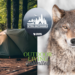 WTMJ Outdoors- Wisconsin Elk population grows, outdoor living